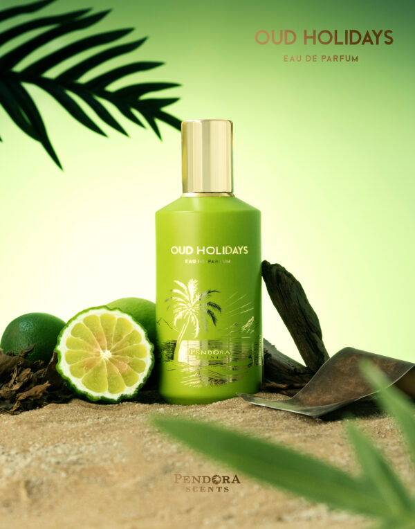 Paris Corner - Oud Holidays