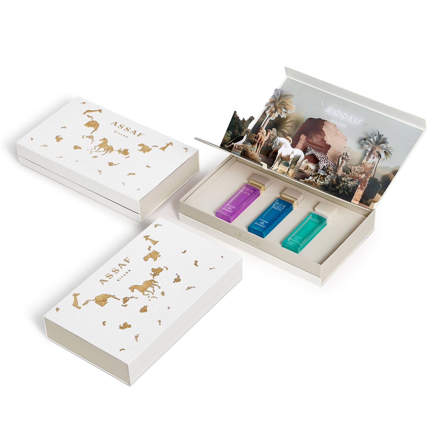 Assaf - Foundation Day Package